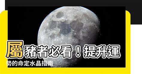 屬豬配戴|【屬豬適合的水晶】屬豬者必看！提升運勢的命定水晶。